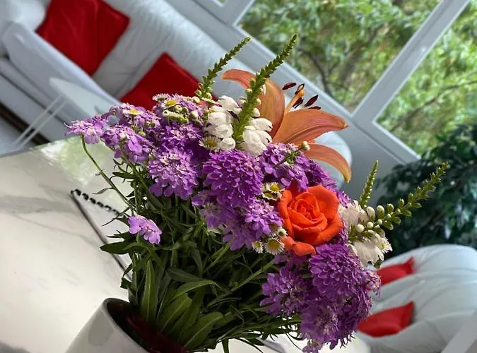 Eva Worldmap Oasis 2Br, 2Ba, Free Parking, Balcony *