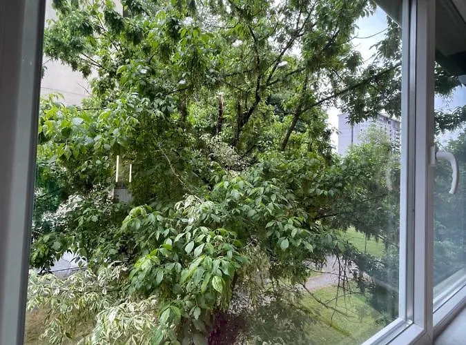 Eva Worldmap Oasis 2Br, 2Ba, Free Parking, Balcony